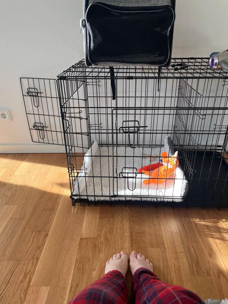 Pessoa com pijama xadrez vermelho sentada no chão, com os pés descalços visíveis, em frente a uma gaiola preta vazia com um cobertor branco e um brinquedo laranja no interior. Uma bolsa de transporte preta está posicionada em cima da gaiola.