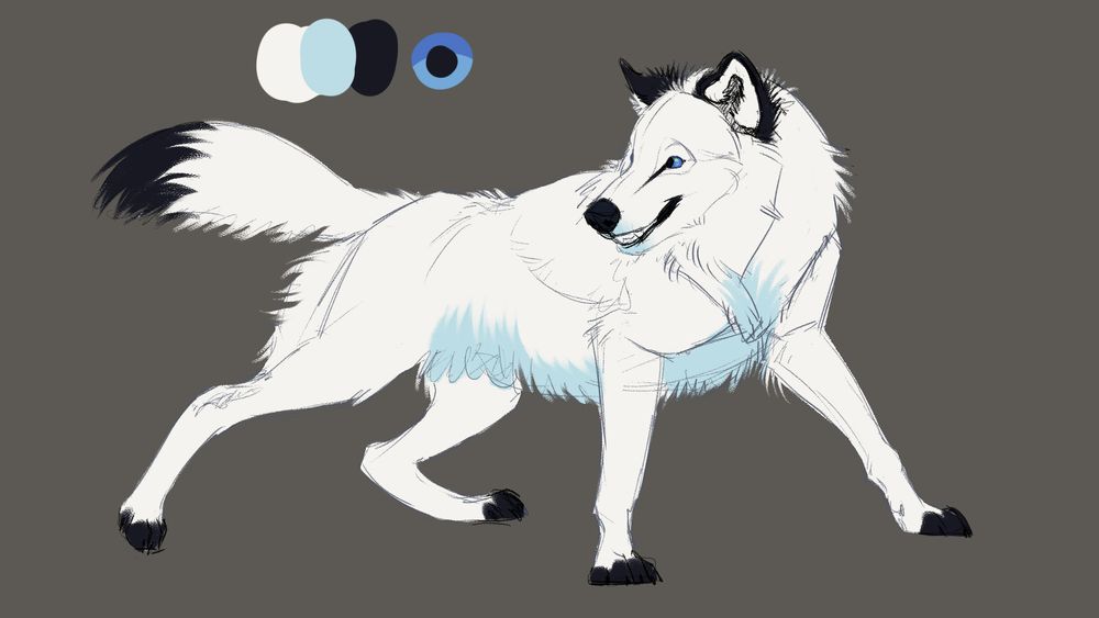 Reference picture of an original character. A white wolf with light blue and black markings and light blue eyes. A dynamic pose and vivacious expression. 