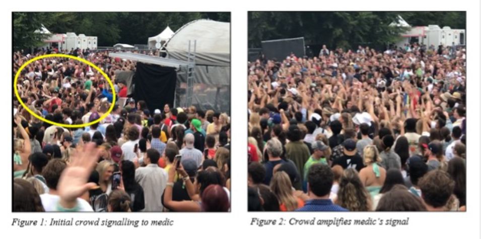 music crowd