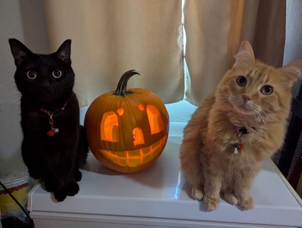 My black cat and my orange cat next to a carved jack-o'-lantern.