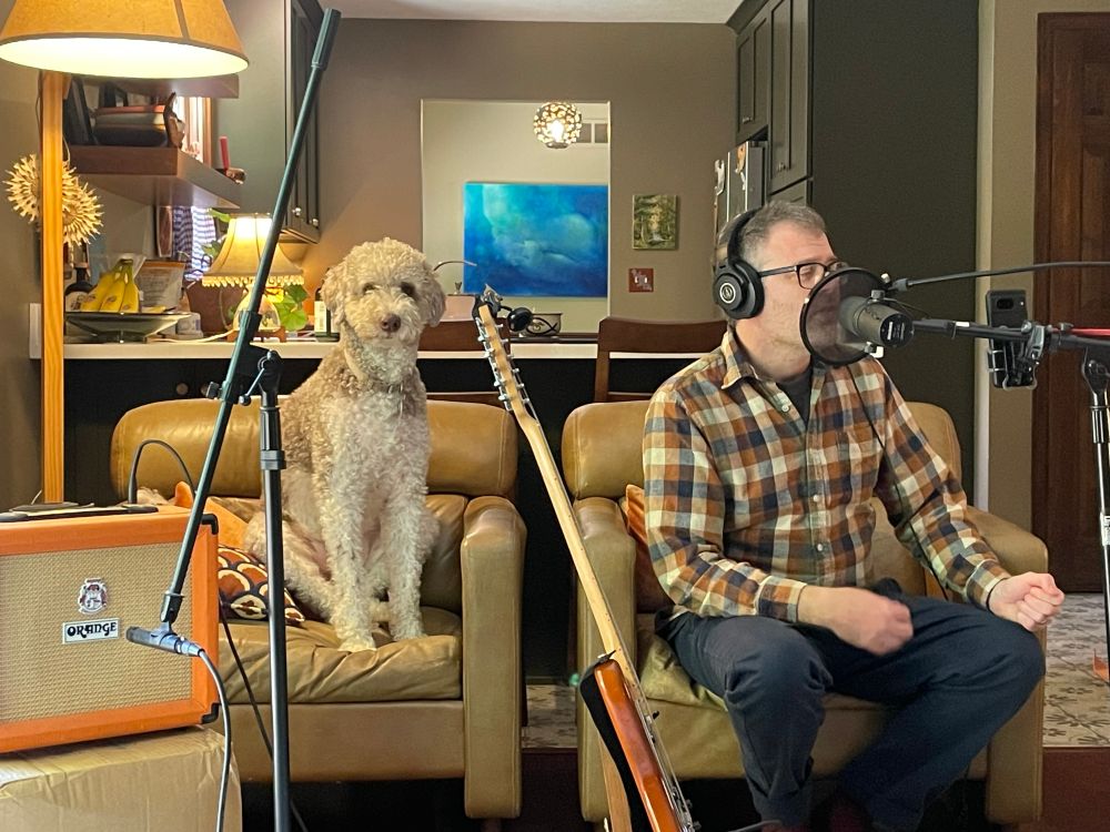 labradoodle dog looks towards the camera while human sings into microphone