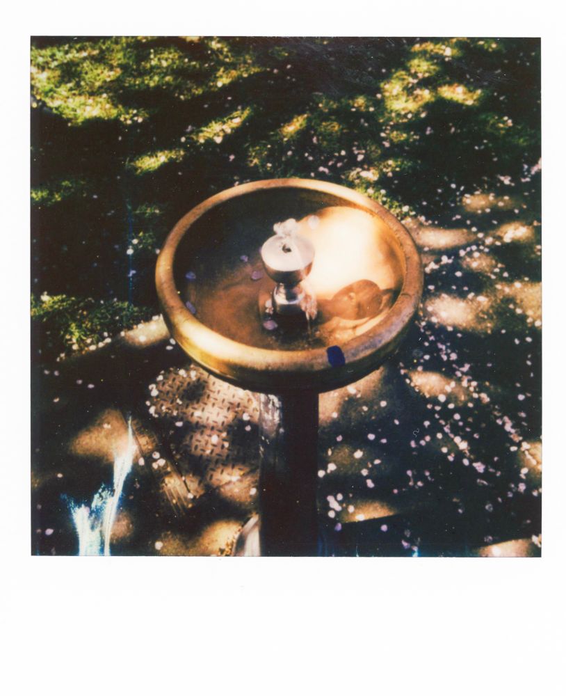 A Polaroid of a golden fountain. There are pink pedals scattered on the ground. There is dappled sunlight over the ground and fountain.