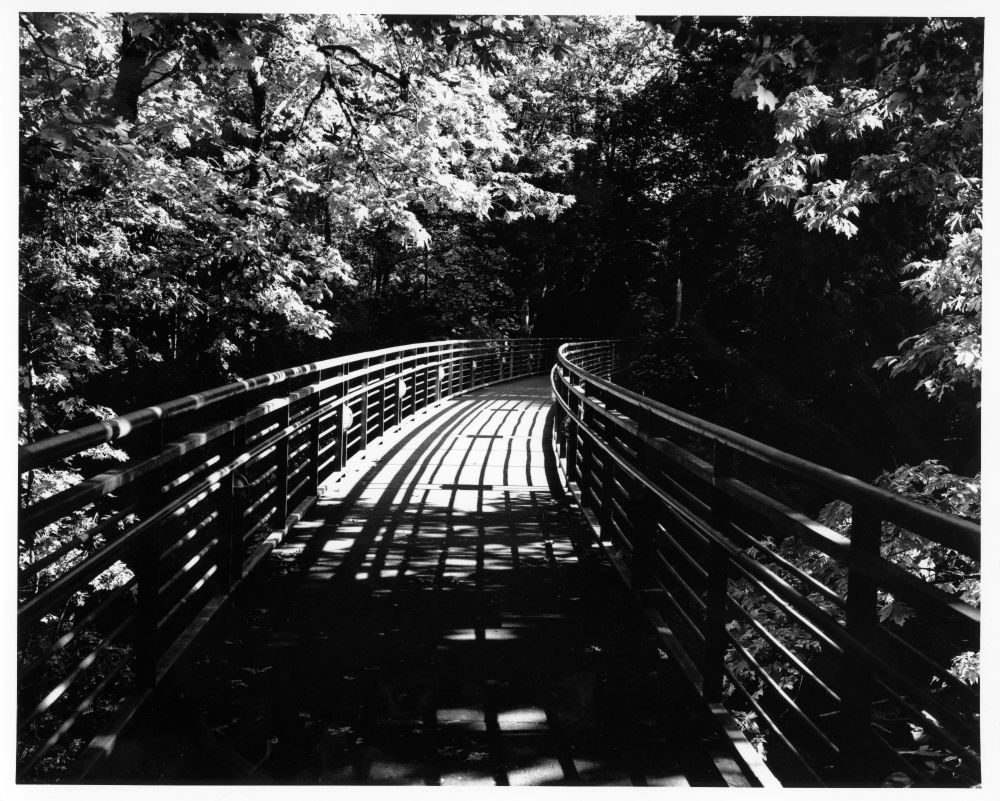 Black and white photo of a pedestrian bridge going through a forest. The sun makes the leaves look white.