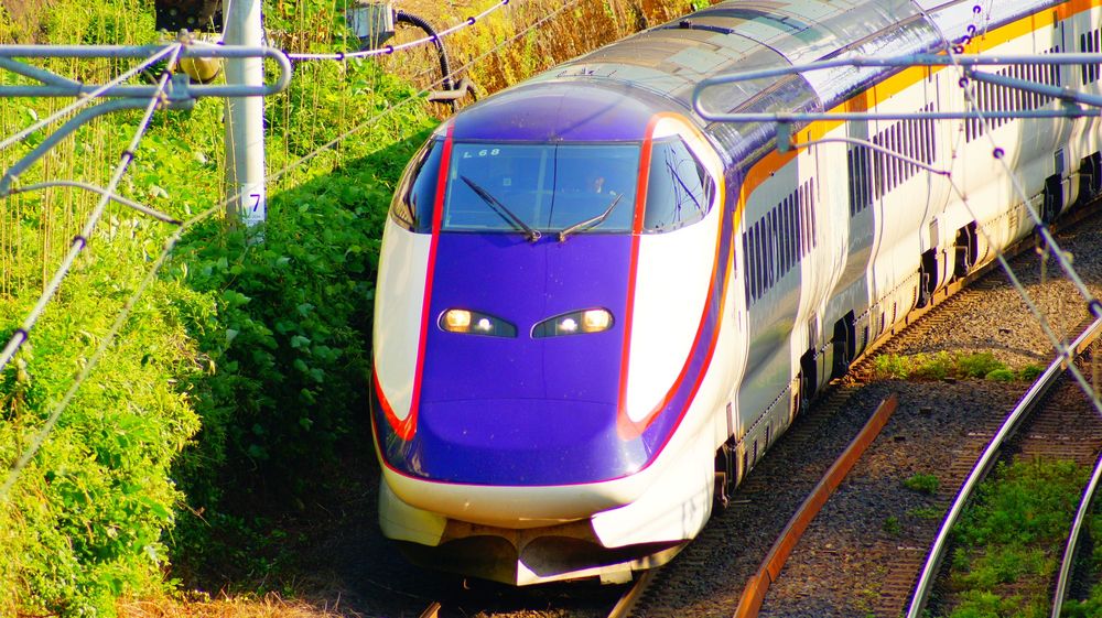 一番気に入っている