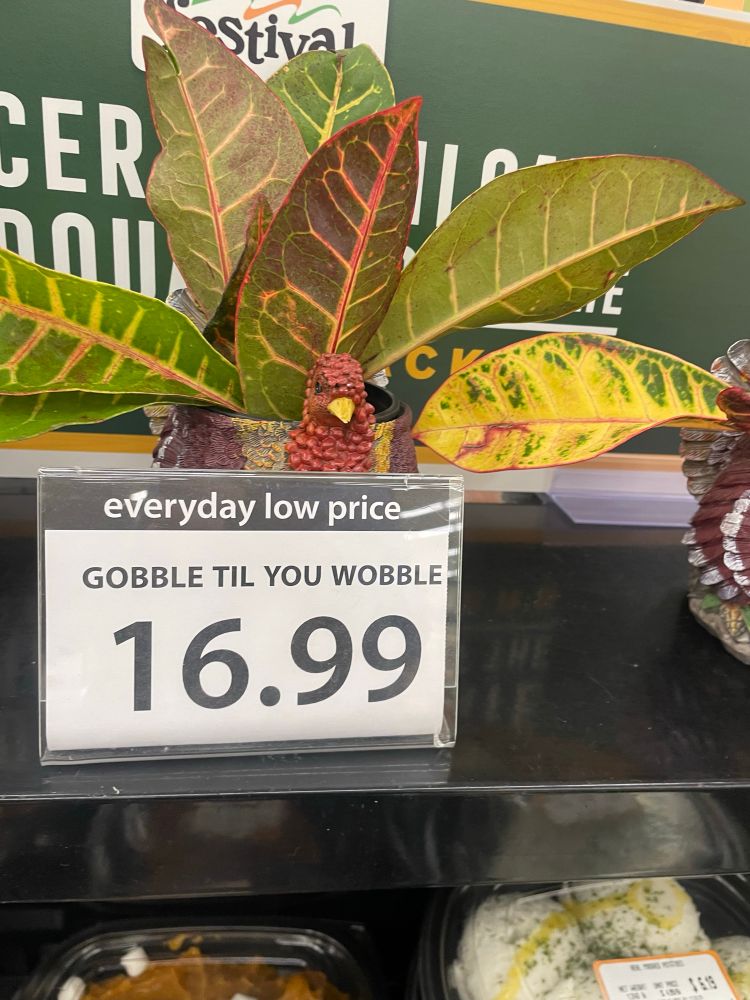 A grocery store display with a turkey advertises some ready-made thanksgiving dishes.

The advertisement sign reads: 
everyday low price 
GOBBLE TIL YOU WOBBLE
16.99