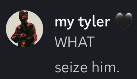 Screenshot of discord messages from my Tyler saying 

“WHAT” and “seize him.” 