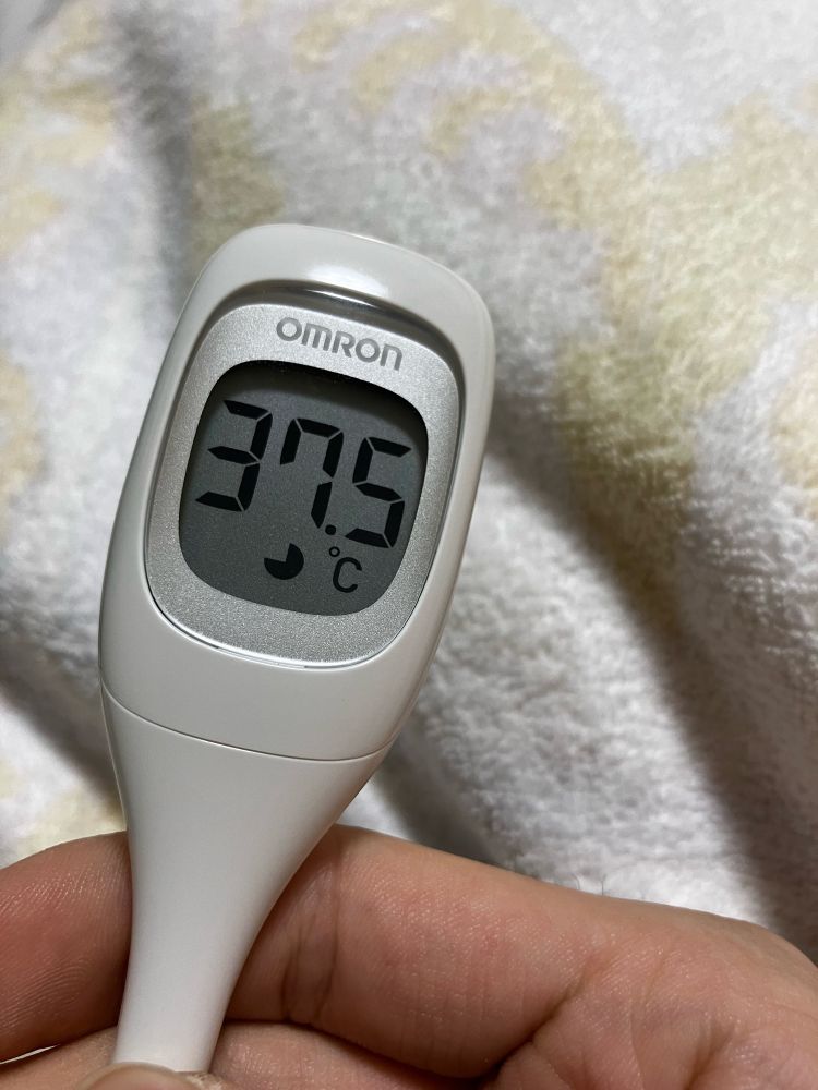 37.5の発熱