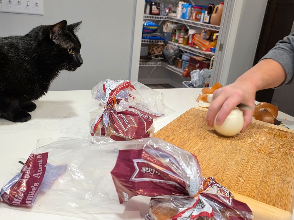 jackie just a couple hours ago watching onions being cut