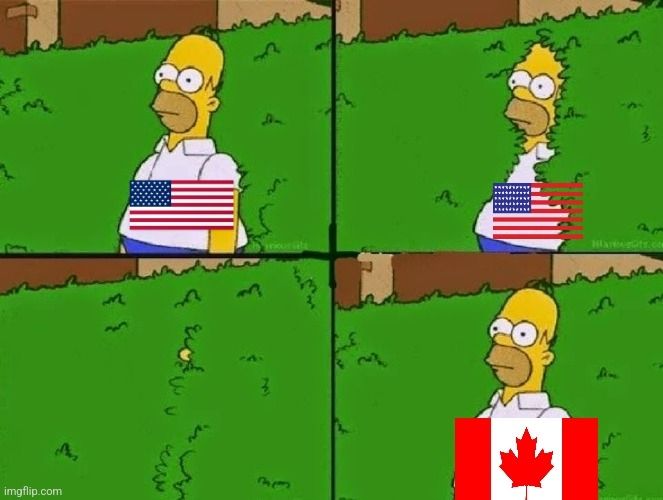 Homer Simpson disappearing into hedge meme with American flag and reemerging with Canadian flag