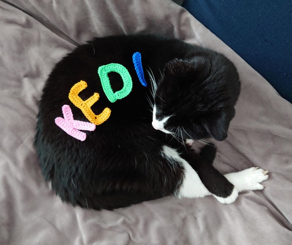 A black cat with crocheted letters that spell kedi