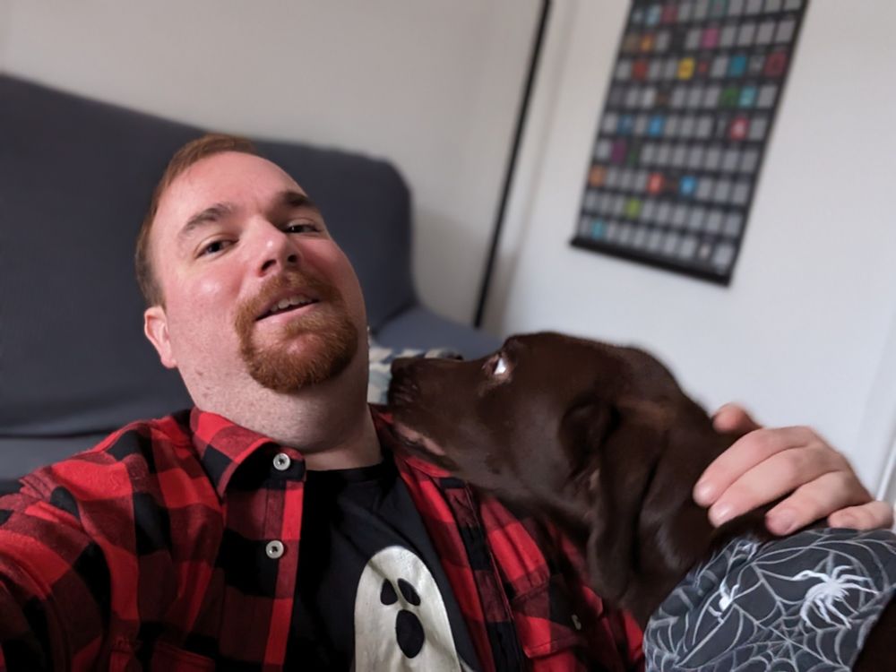 Me being viciously mauled (with licks) by my chocolate labrador wearing a spiders Web bandana.