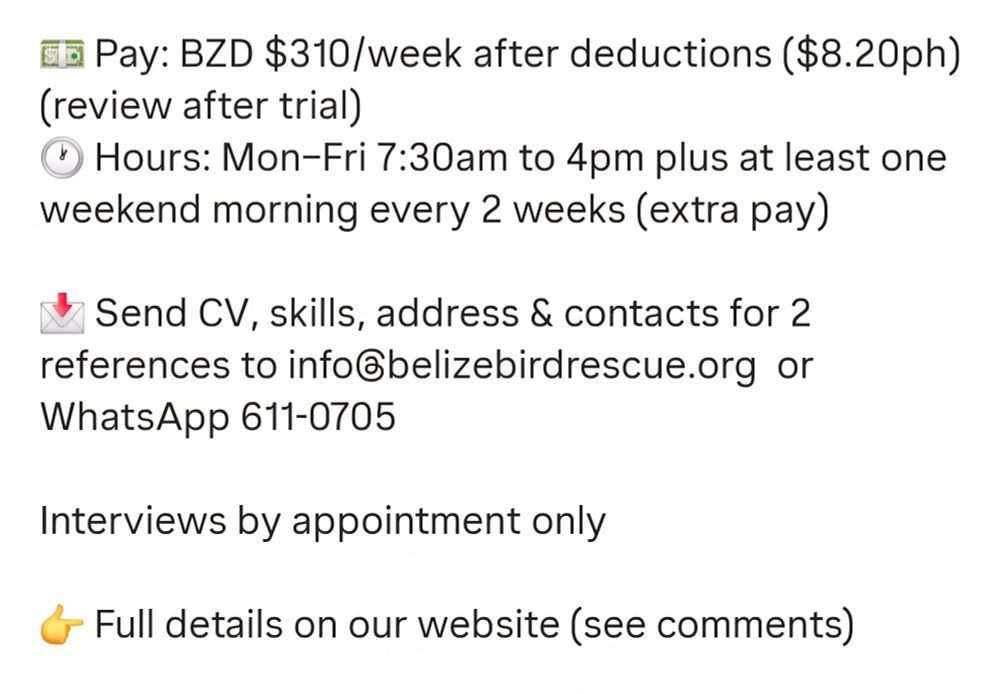 💵 Pay: BZD $310/week after deductions ($8.20ph) (review after trial)
🕐 Hours: Mon–Fri 7:30am to 4pm plus at least one weekend morning every 2 weeks (extra pay)

📩 Send CV, skills, address & contacts for 2 references to info@belizebirdrescue.org  or WhatsApp 611-0705

Interviews by appointment only

👉 Full details on our website (see comments)