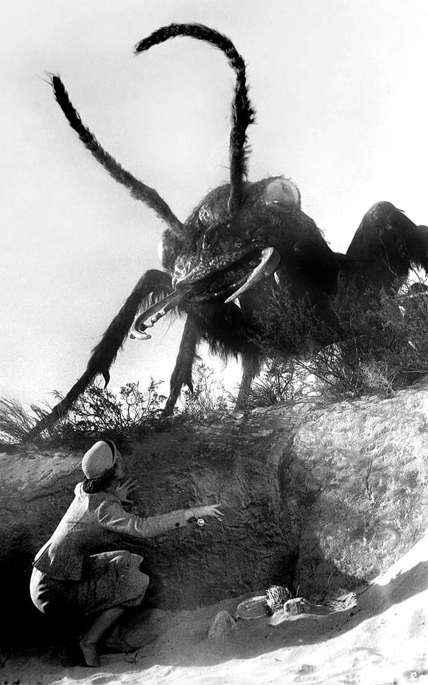 A giantic radiation mutated ant standing over a earthen rise; menacingly staring at a young woman scientist who was examing ant sign.