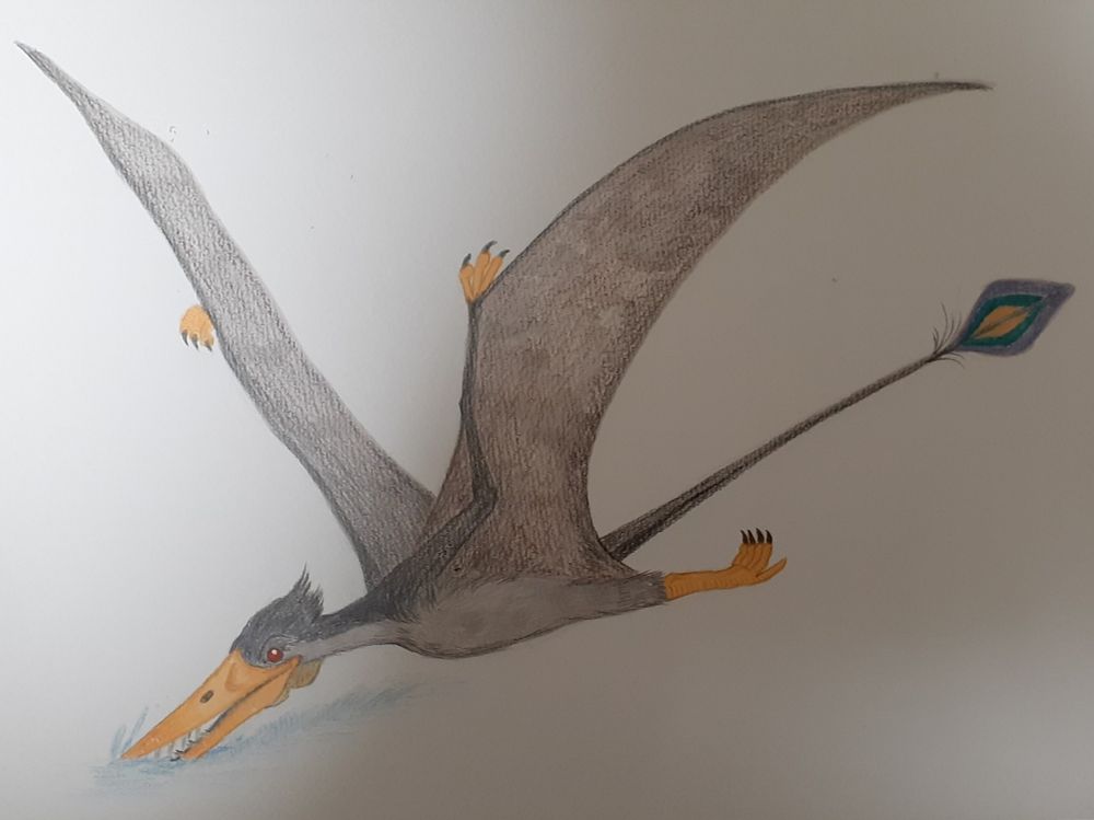 ラムフォリンクス（テクパン・クリエイト筆）
アルコールマーカー、色鉛筆、ゲルインクボールペン使用