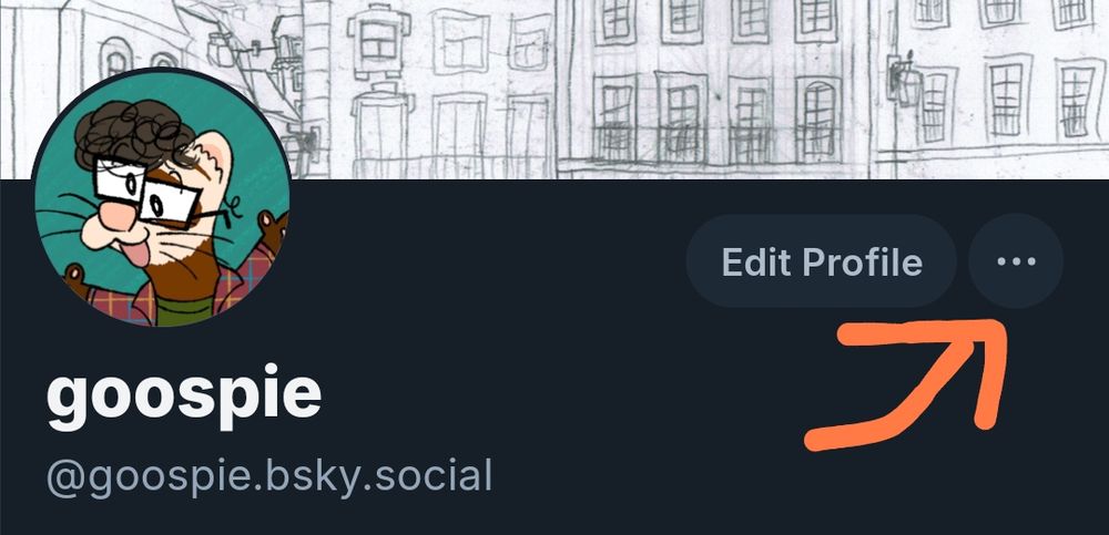 A screenshot of my profile, with an arrow pointing at the options menu
