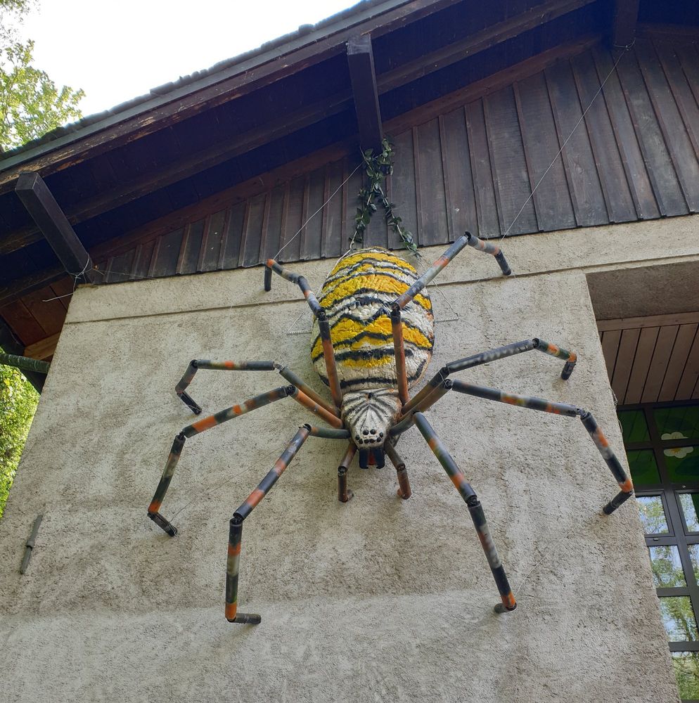 Sculpture araignée sur la maison de la nature à Montorge