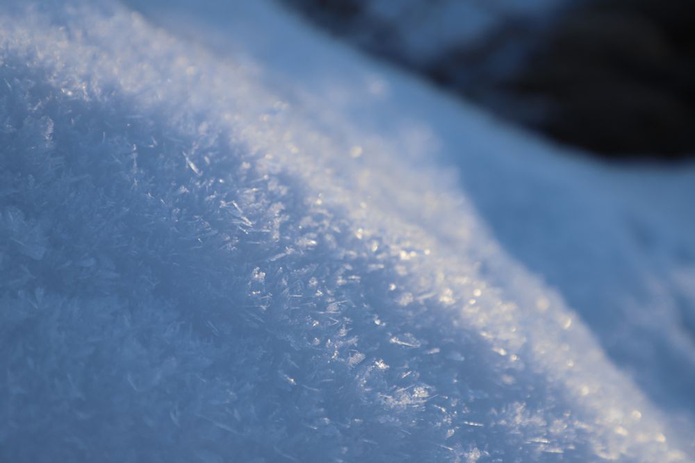 Macrophotography of a snowbank in the sun, with light catching large ice crystals 