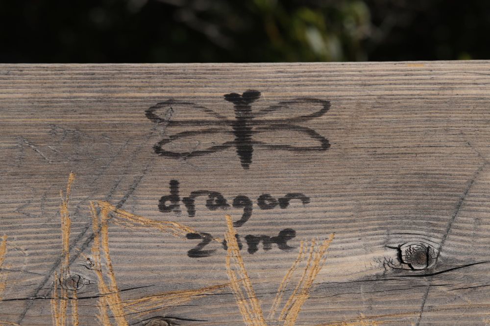 A sharpie drawing of  a dragonfly with the text "dragon zone" under it, drawn on a nearby footbridge
