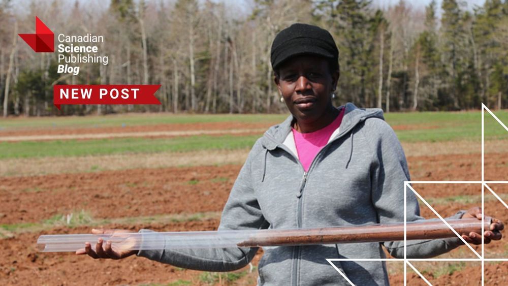 Dr.  Nyiraneza in a gray hoodie holding a long soil core sample in an open field with trees in the background.