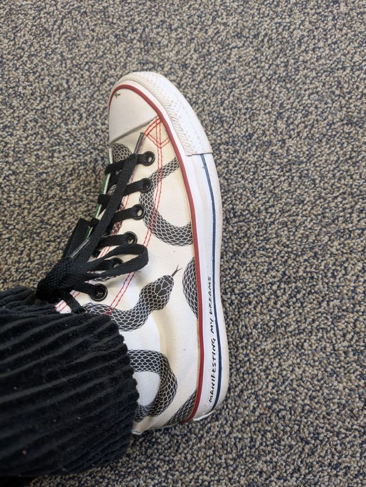Snake print converse with manifest my dreams on the bottom edge. 