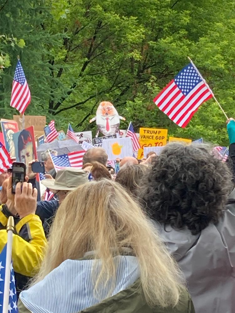 No kings rally in Rhinebeck NY