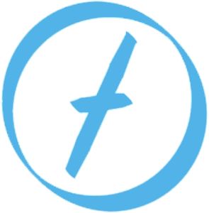 Logo for feasible blof