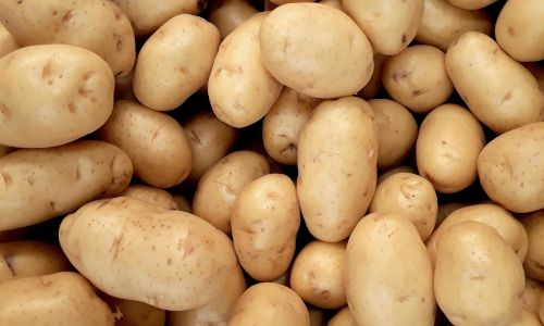 Washed potatoes, ready for chopping into French Fries.