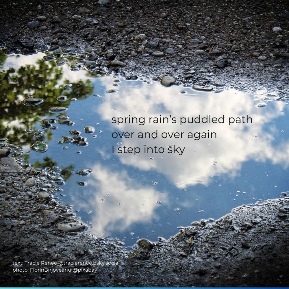 Photo from Pixabay of puddle reflecting blue sky and white clouds.