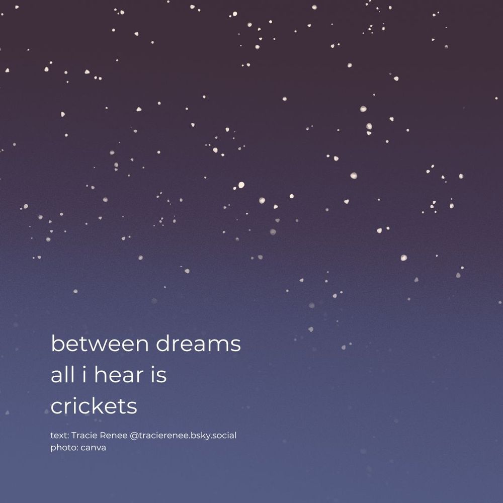 Image of starry night sky by Canva. 