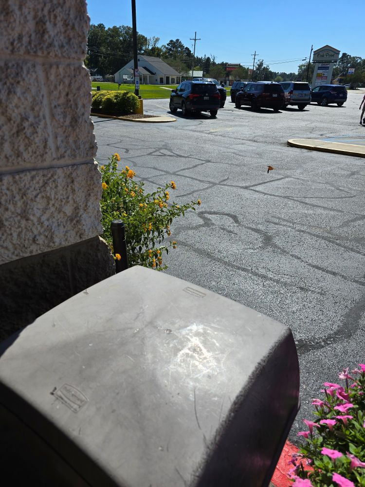 A parking lot sits behind some flower planters and a grocery store facade pillar and garbage can. One blurry black and orange splotch can be seen midair