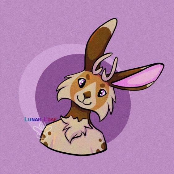 A smiling anthropomorphic jackrabbit, looks inquisitively at the viewer. The background is a muted pink with a darker mauve oval directly behind the character. 