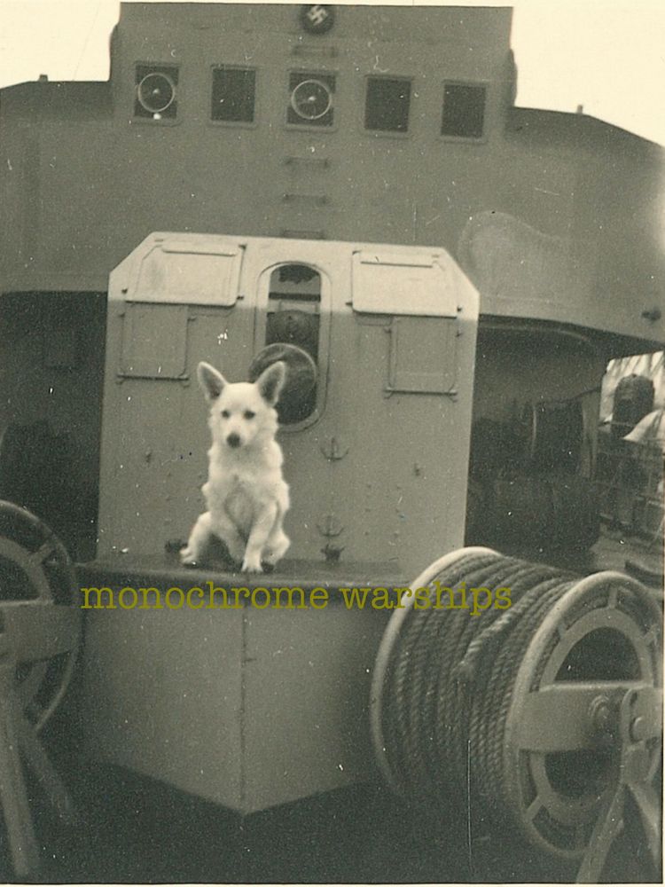 Photo taken on the foredeck of a Kriegsmarine M1935 minesweeper, looking towards the 4'1" gun and the bridge. However, the main item of interest is the very fine-looking almost white German Shepherd dog sitting obediently in front of the gun. Because he's a good boy, oh yes he is.