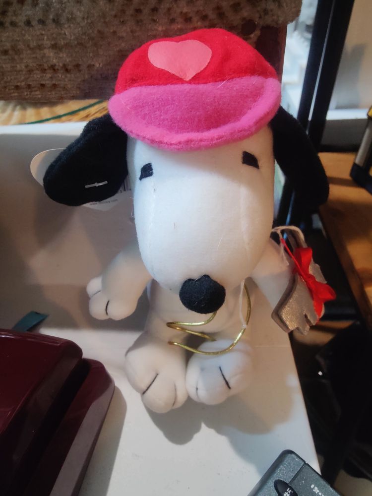 An image of a Snoopy plush with closed eyes and a pink and red baseball cap. In the center of the cap is a pink heart. The plush is holding a silver key. 
