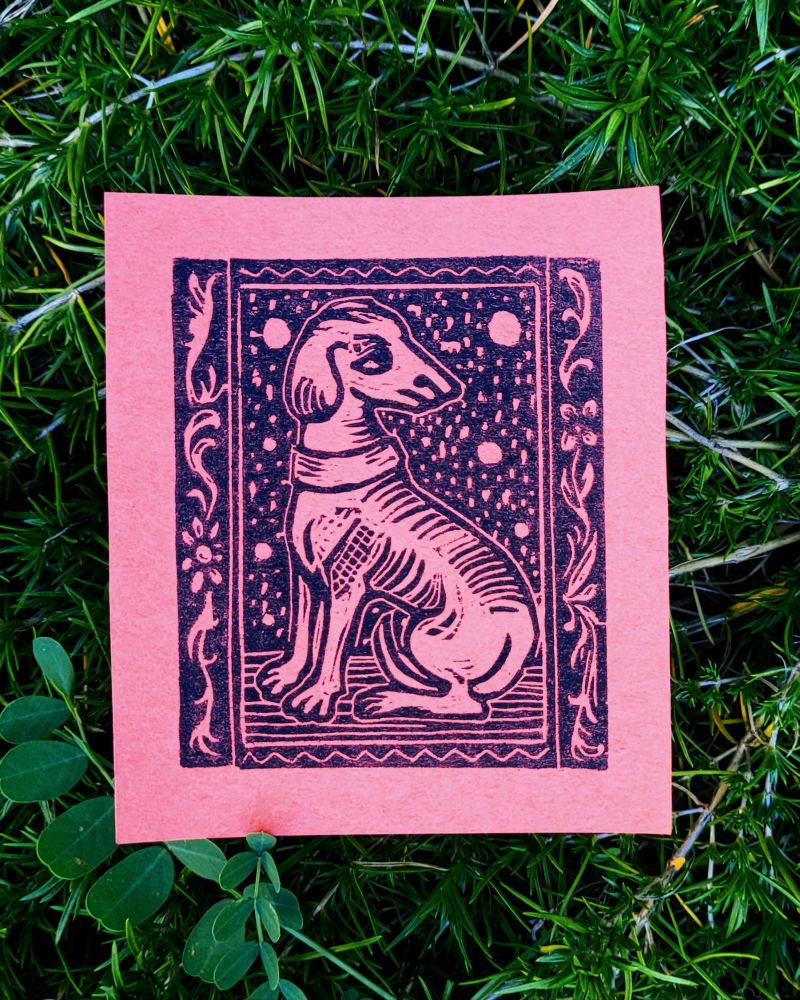 woodcut print of a weird little medieval dog