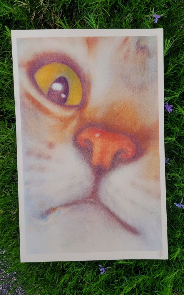 A riso print on cream paper of a big cat's face lookin at you