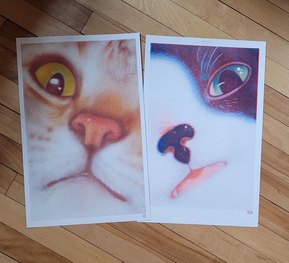 two riso prints of extreme closeups of cat faces: one brown tabby and one tuxedo