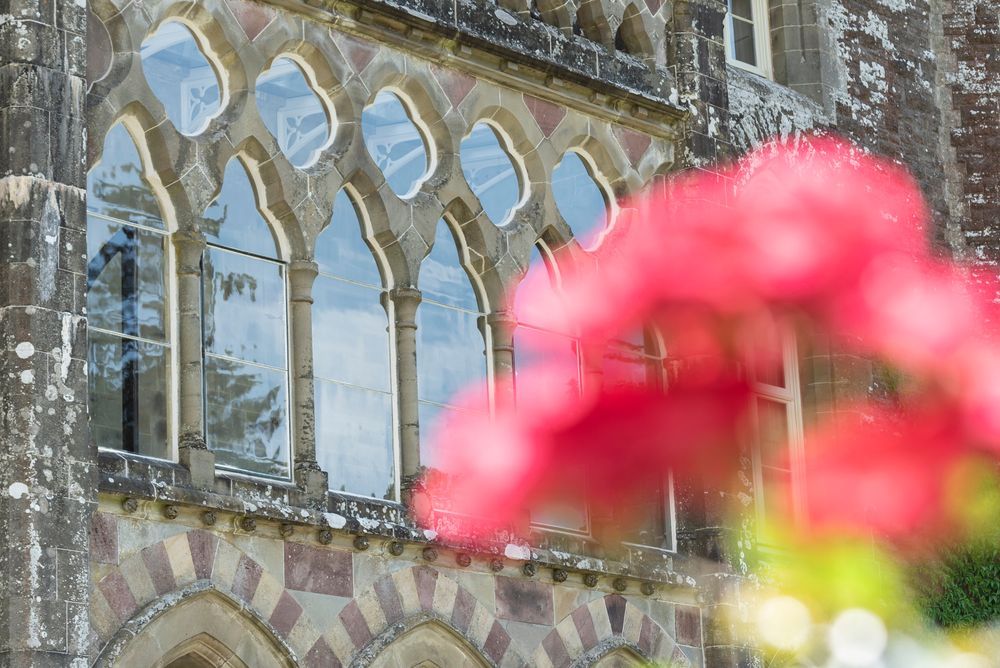 Windows on the West front of Newton House Garden at Dinefwr, Carmarthenshire. The windows shine in the background while a red flower is out of focus in the foreground. 