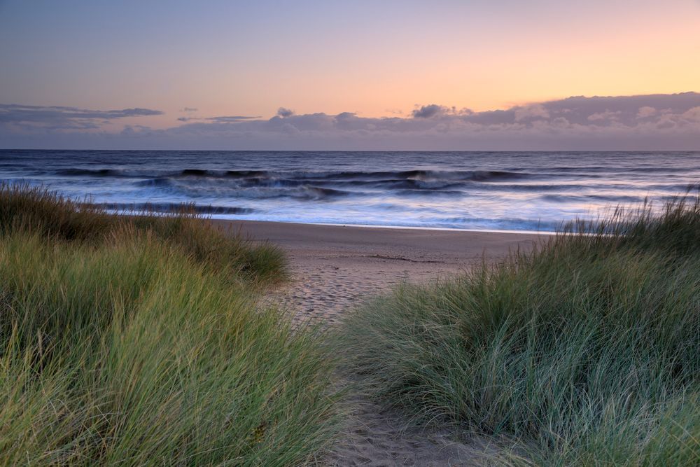 A light purple and yellow dusk sky over a darkening sea with bushy grass in the foreground with a sandy path running through it to the beach.