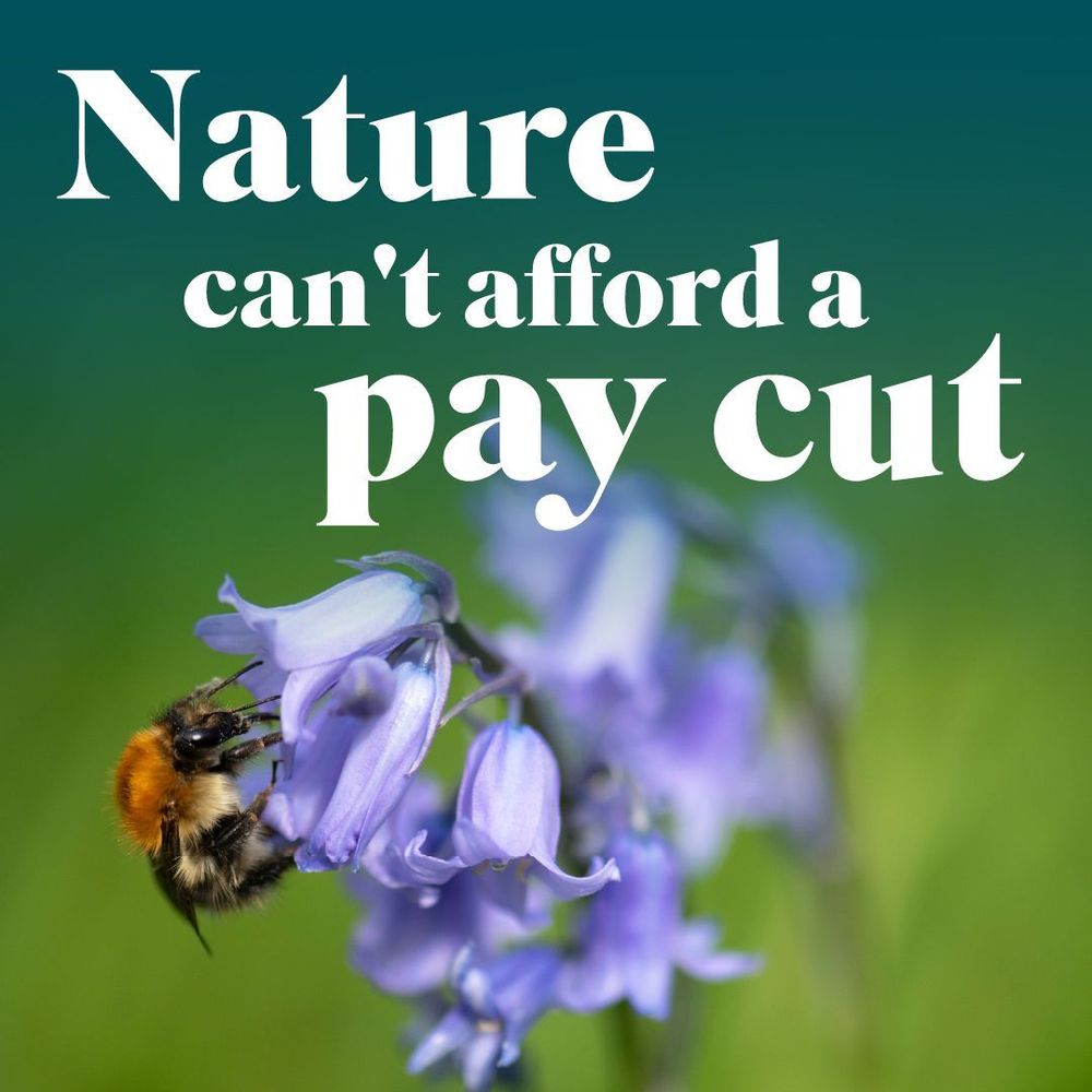 Close up of a bee on a bluebell flower. Text over reads, Nature can't afford a pay cut