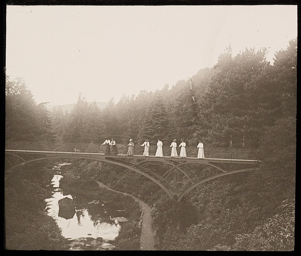 A black and white photo of women stood on the bridge at Cragside, looking at the surrounding fir trees and the waters below.