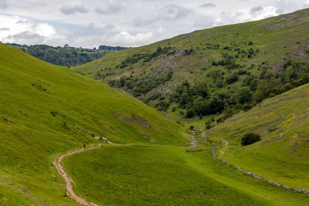 A path running through the valley between two lush green hillsides, dotted with dark green trees.