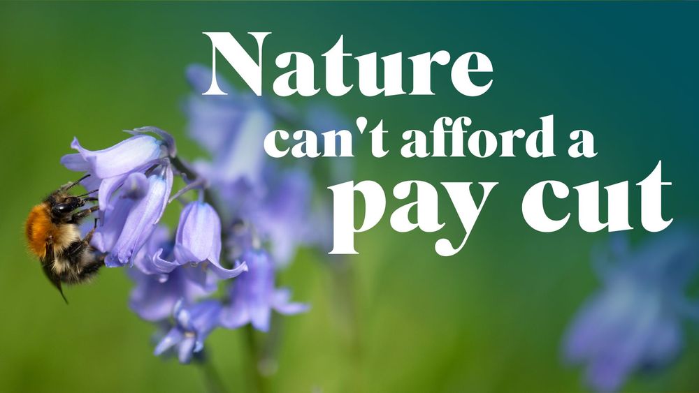 Close up of a bee on a bluebell flower. Text over reads, Nature can't afford a pay cut
