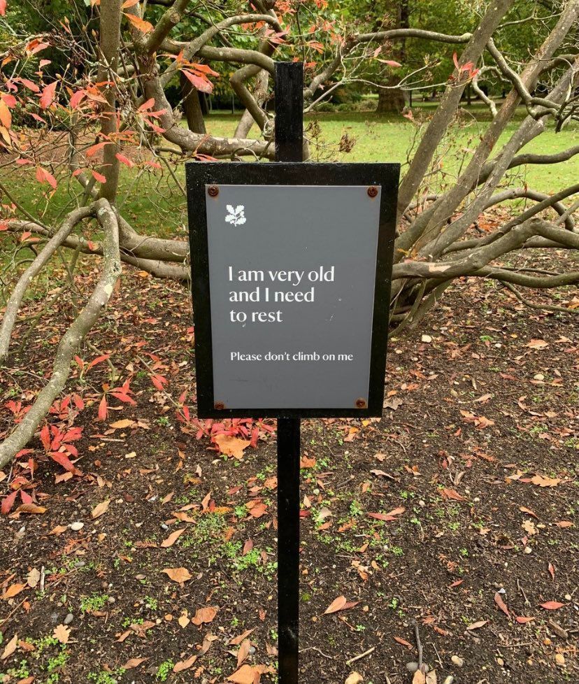 A grey sign with white writing stands in front of an old tree. The sign reads: I am very old and need to rest. Please don't sit on me