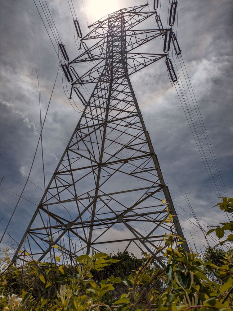 A high voltage transmission line tower, shot from a low angle. The angle makes it look like the base of the tower is covered in plants. The tower stretches up into a cloudy blue sky with an obscured sun.