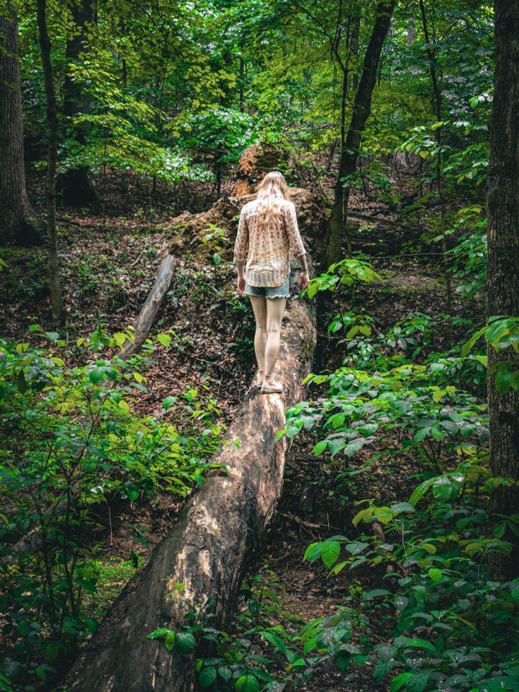 Xia is wearing a light and colorfully patterned top with denim shorts and pink converse. She is walking across a tree that has fallen across a gap in the forest. She is halfway across it, looking down and away, about 8 feet up. There is a lot of greenery all around her, glistening from a recent rain fall.