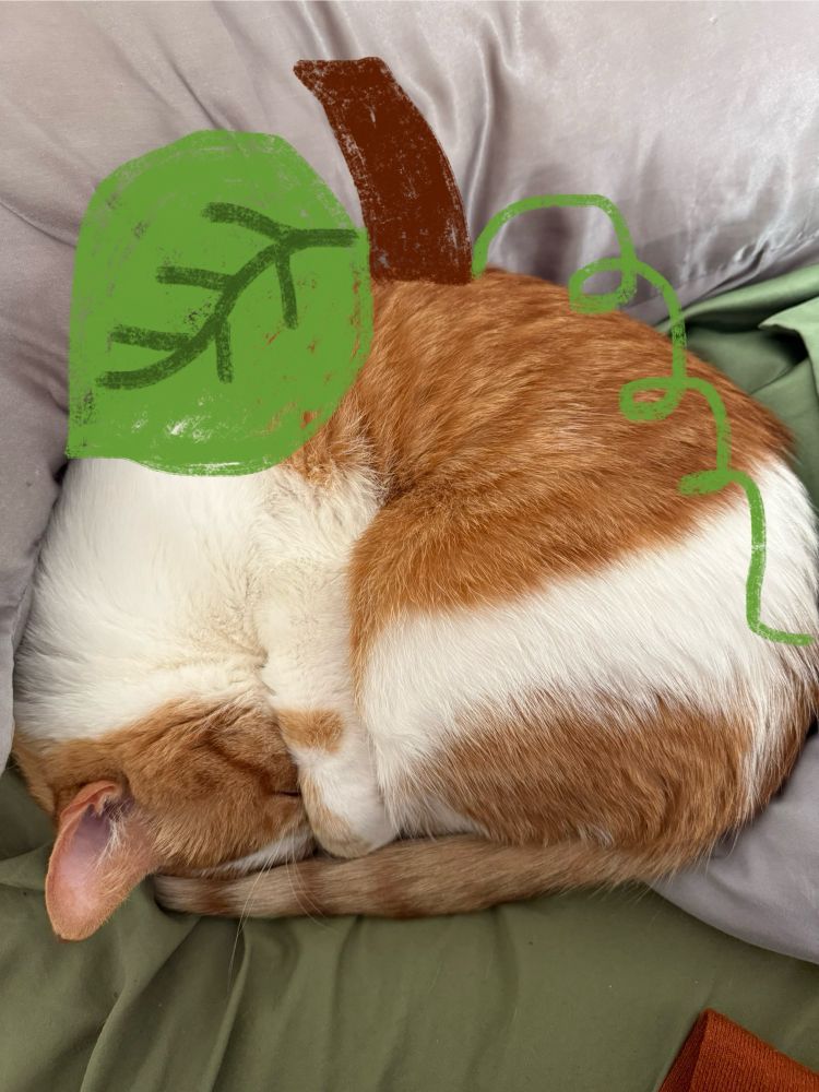 The same picture but drawn on to look like a pumpkin