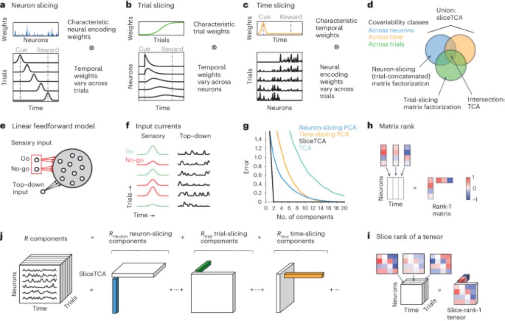 Dimensionality reduction beyond neural subspaces with slice tensor component analysis - Nature Neuroscience