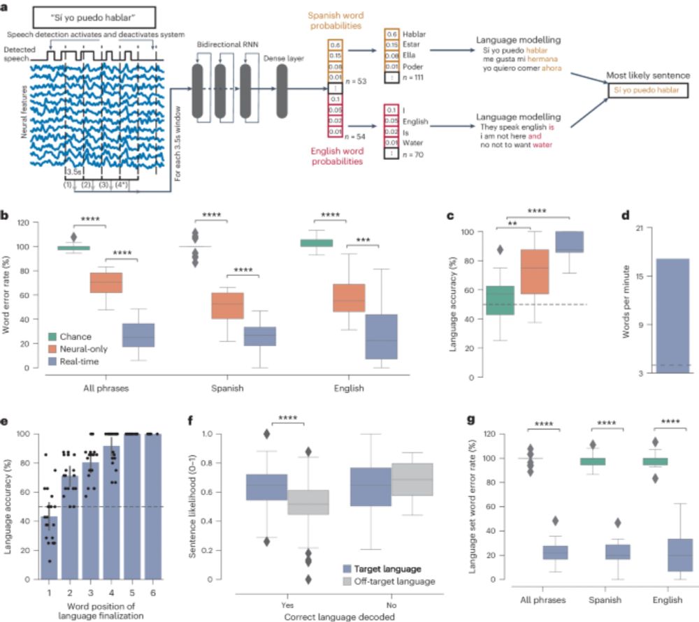 A bilingual speech neuroprosthesis driven by cortical articulatory representations shared between languages - Nature Biomedical Engineering