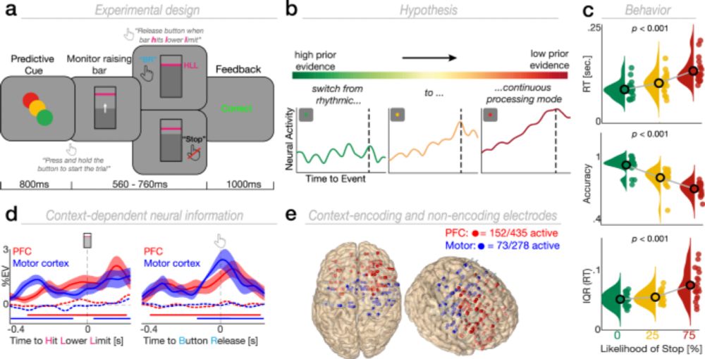 Ramping dynamics and theta oscillations reflect dissociable signatures during rule-guided human behavior - Nature Communications