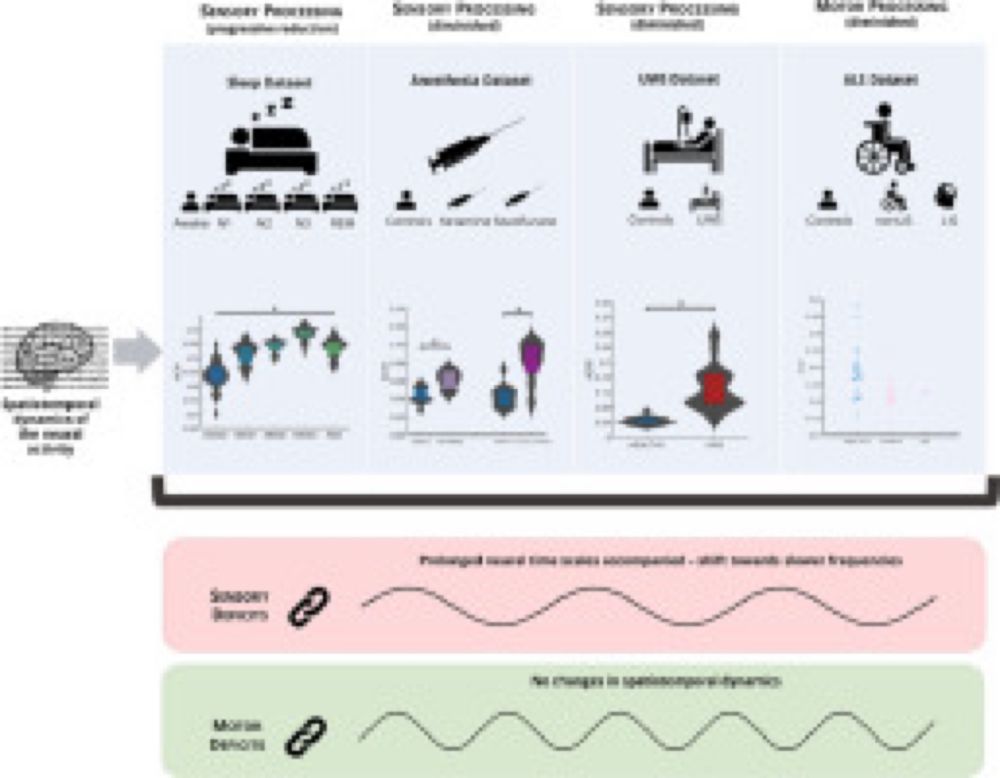 Are intrinsic neural timescales related to sensory processing? Evidence from abnormal behavioral states